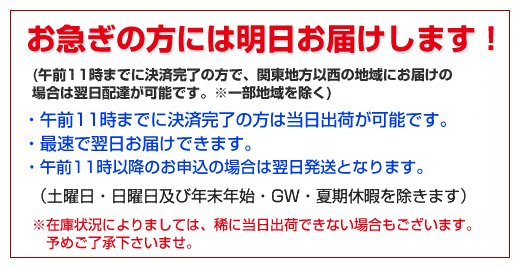 モテる方法をお急ぎの方には明日お届けします!